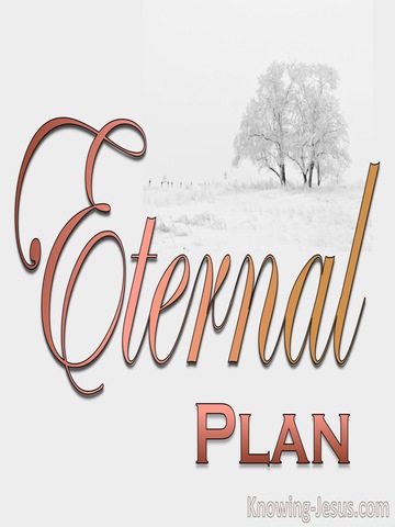 The Eternal Plan (devotional) (white)